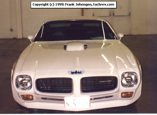 White Small Hood Bird